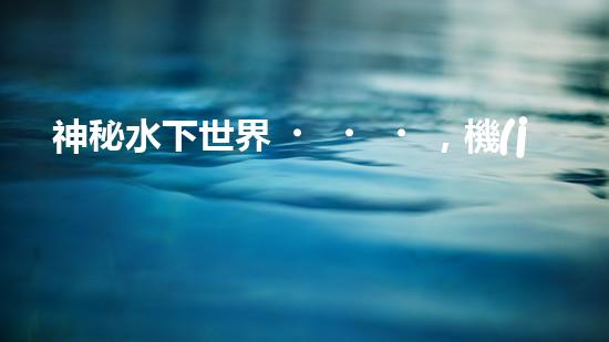 神秘水下世界，機(jī)器人探秘的奇幻之旅！